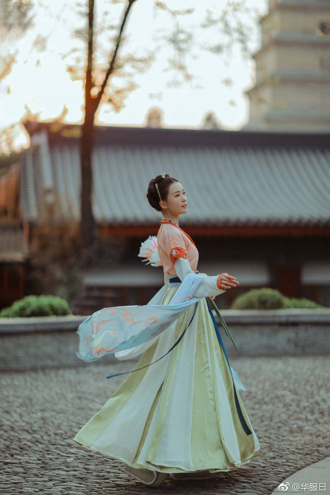 竹馬是只狼by向霧TXT