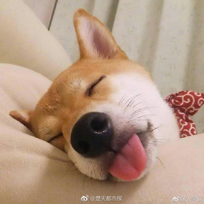 《修女與僧侶》電影在線觀看