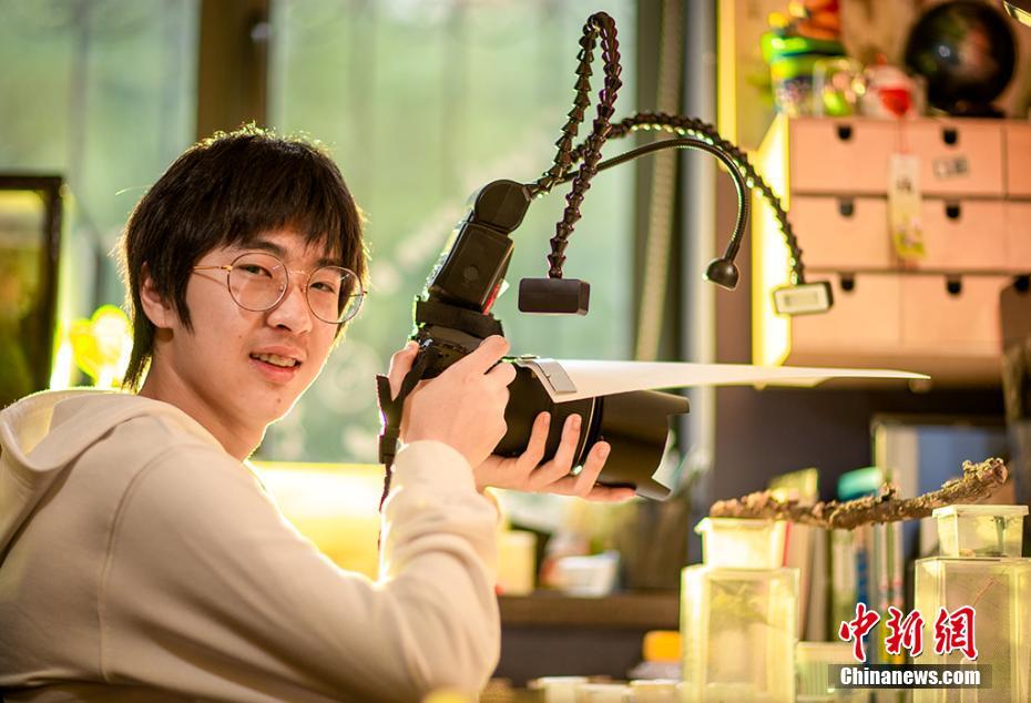 最后一百天by賣菜多少字