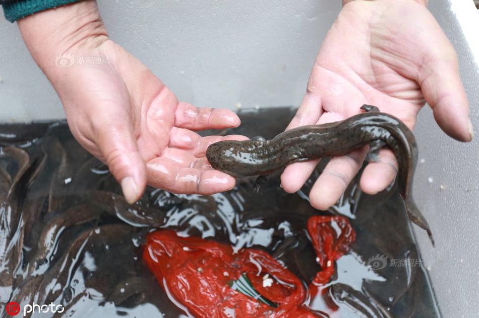 最強棄少無刪減版筆趣閣免費閱讀