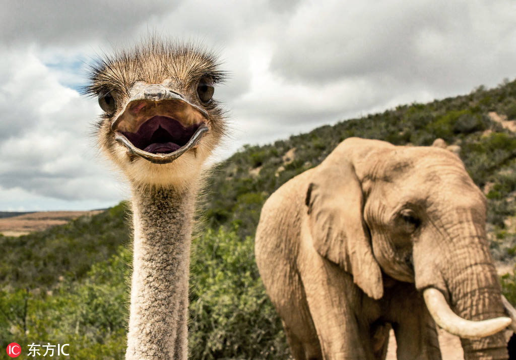 沖喜by孟還 小說