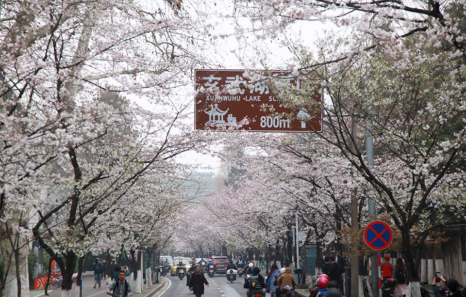 春淺未禁寒by嚴寒山全文閱讀