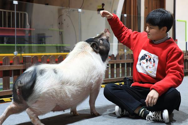 fog電競by漫漫何其多txt百度資源