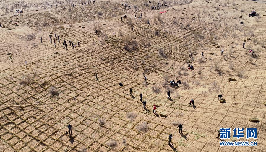 hp 我想守護你(bg)