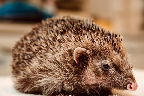 《劍氣朝天》筆趣閣免費看