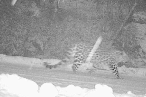 刺青by瀑布完整版