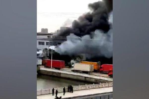 不小心禍大了txt隨遇而安