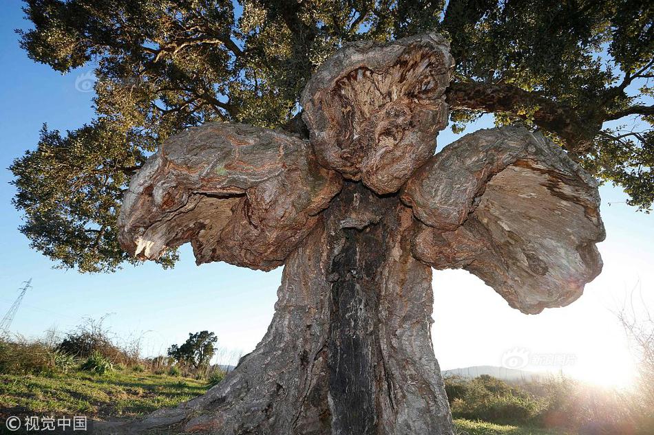 異種產卵捕食TXT下載