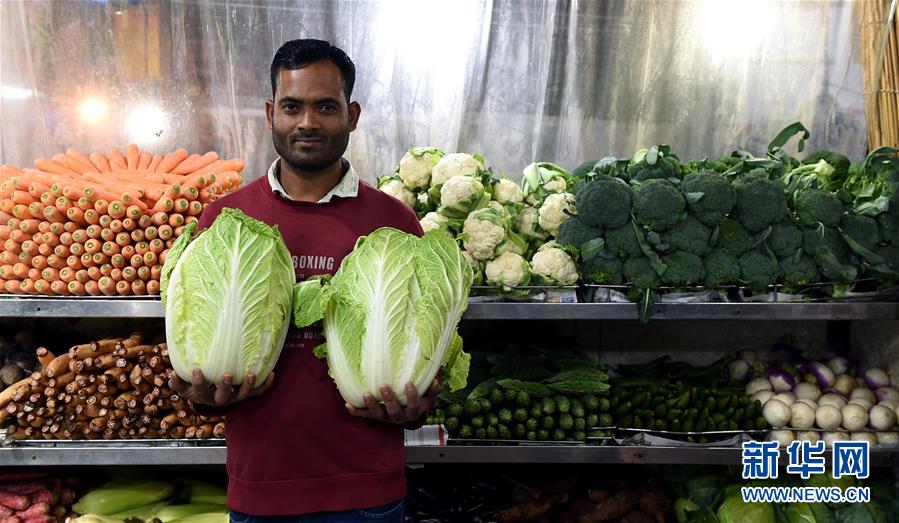 有肉的青梅竹馬文推薦