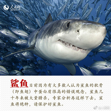 1v1的男女主古言