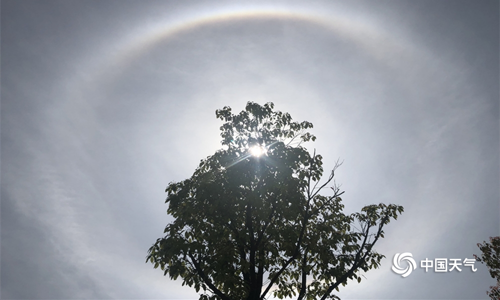 《垂涎》全劇免費(fèi)看