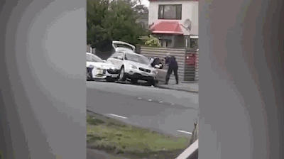 草樣年華2全文TXT