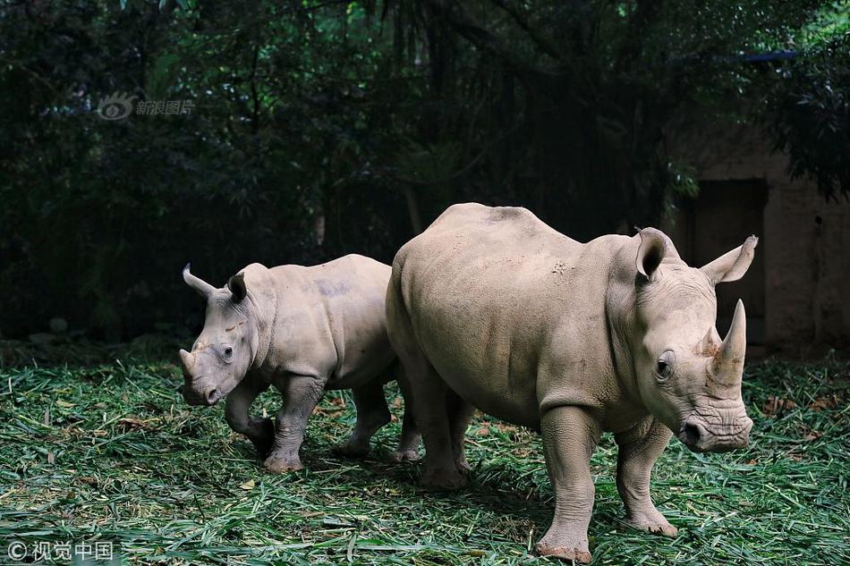 少爺被父親和管家欺負