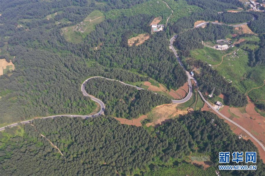 《有病的他》by姜的吃txt