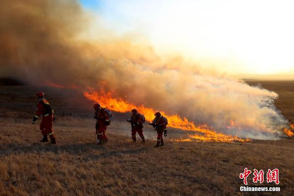吹風機什么牌子最好