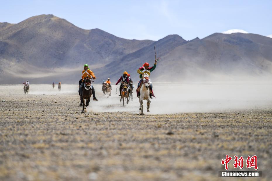 背主小說by林漓講什么