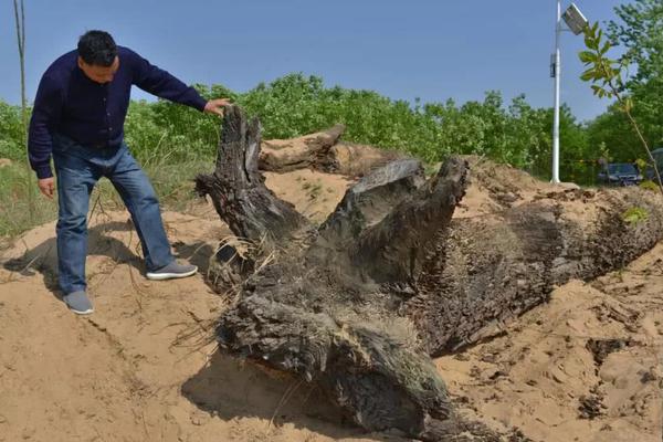 《綠日長夏》by妄言熱戀廢文網