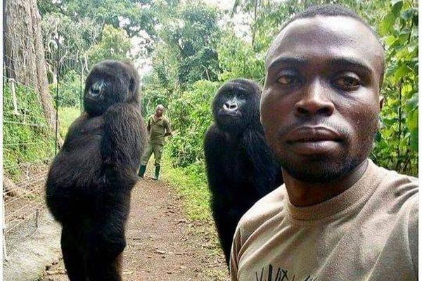 咒術回戰TXT下載