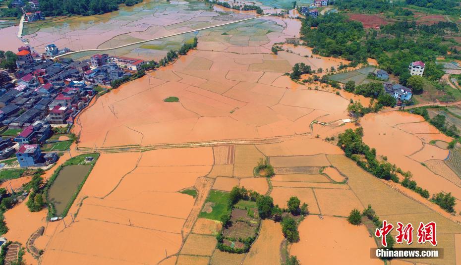 《不生不熟》txt筆趣閣