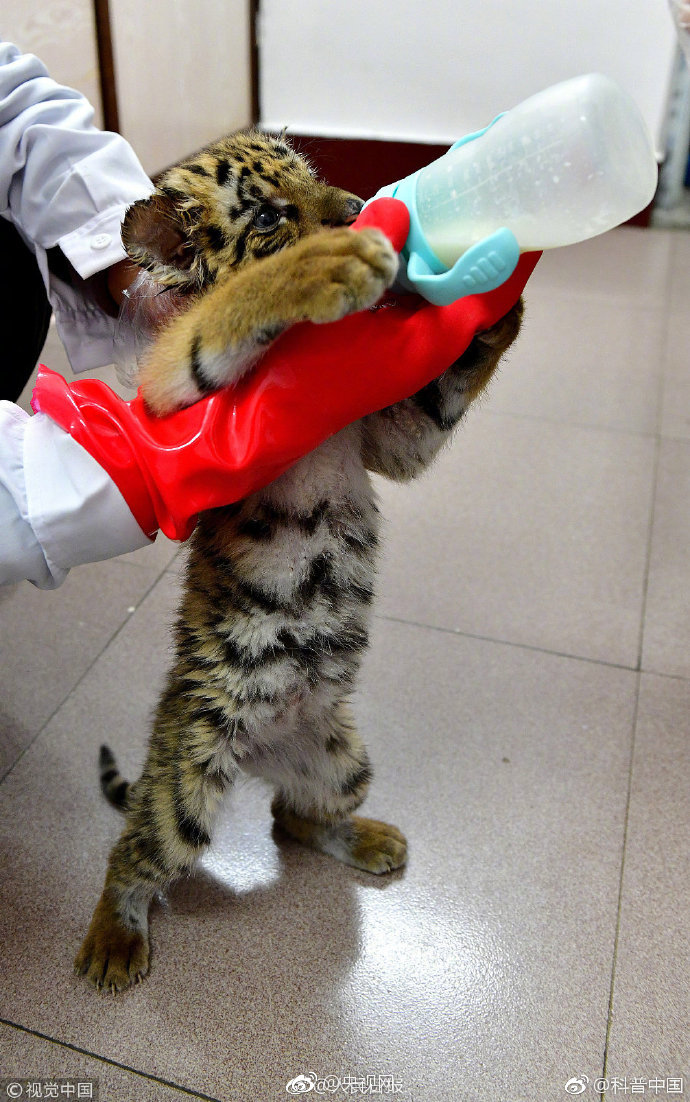 總攻心理治療師TXT免費(fèi)