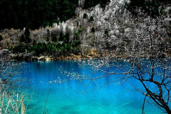 奔跑吧輪流baby鄭愷小說在哪里看