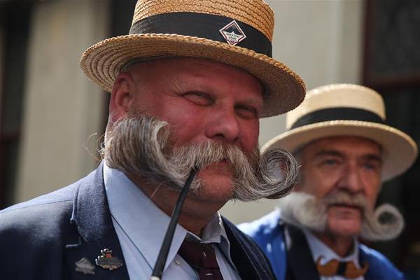 《樂可》全文+番外百度