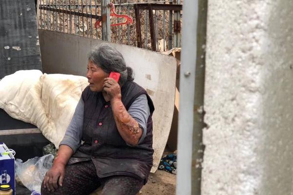 大神養成計劃by淮上TXT