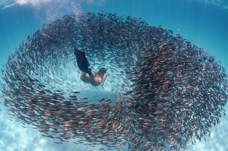 《溫涼》by白塵 偽gu 年齡差甜寵
