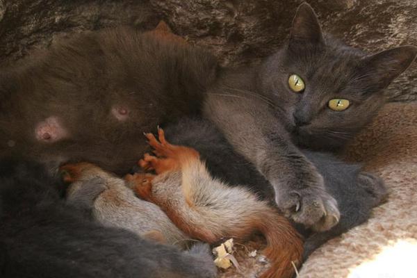 最好的我們txt百度網盤