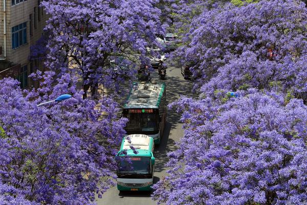 云嬌雨怯by韞枝又叫什么