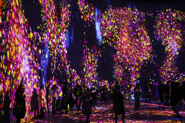 《雙軌》1-29集免費觀看