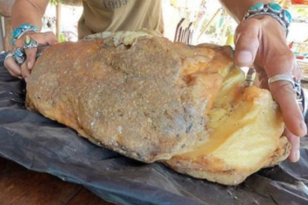 御書屋 (御宅屋) 自由的小說閱讀網