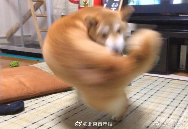 大主宰txt筆趣閣無彈窗免費