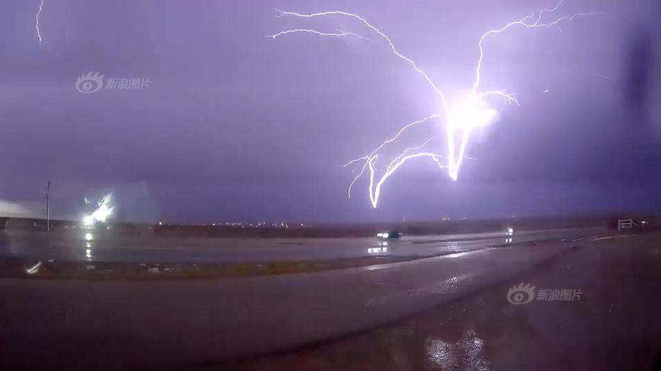 《黑蓮花的上位》by聞人醉