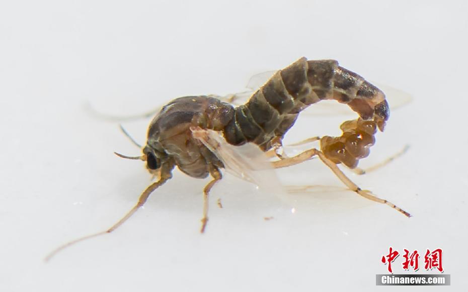 從挨雷劈開始TXT