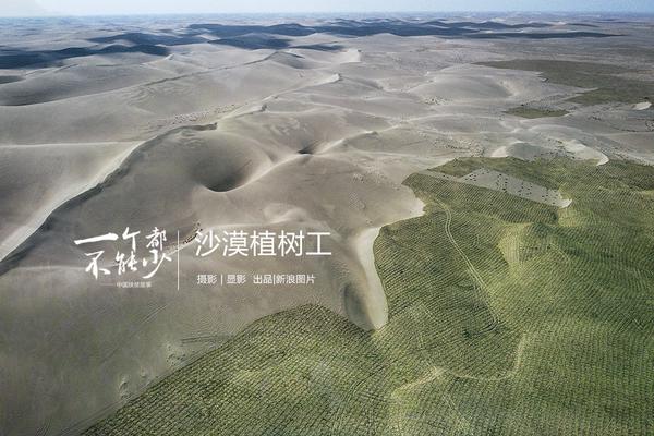 掌心雀txt在線閱讀