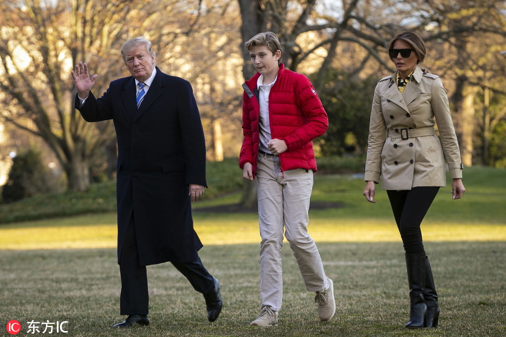 《小橘狗》百度云txt