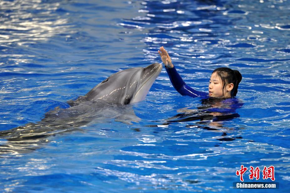 背德文,女主是妃子男主是大臣的古言