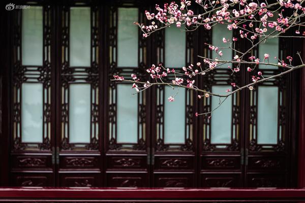 正義的使命最新章節更新