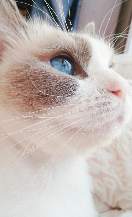 渣男寵夫計劃[快穿]喜歡檸檬的柚子