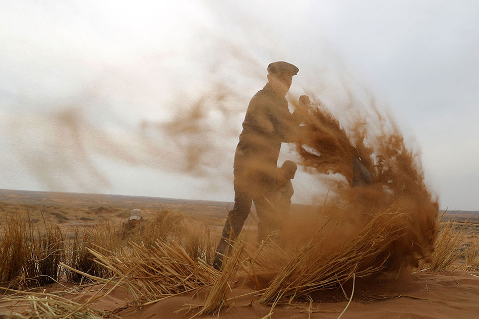 筆趣閣下載小說在哪個位置