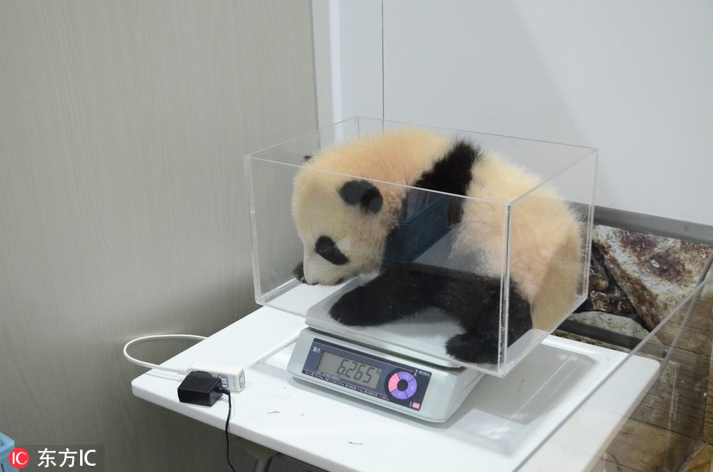 乖,我會很溫柔的,不會傷到你小說