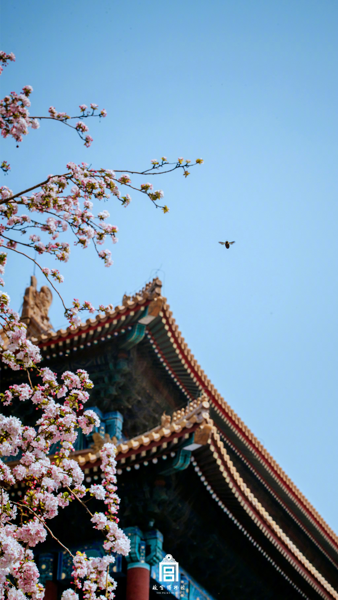 異界之魔武流氓精校版TXT