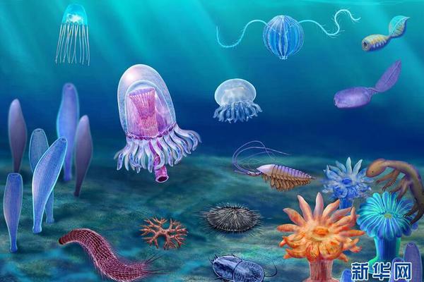 八年孤獨by沒有魚蛋無刪減