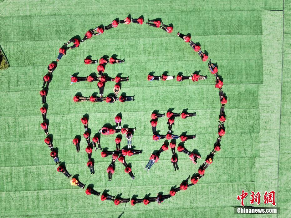 一頭母豬txt百度云盤