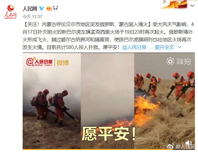 穿成男主白月光by花柒酒最新