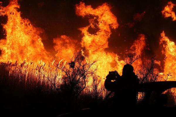 暗戀木口銀小說txt