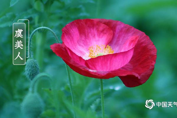 奪妻思不歸 筆趣閣