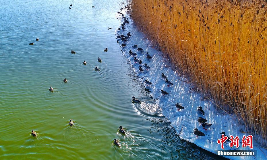 易經(jīng)原版txt