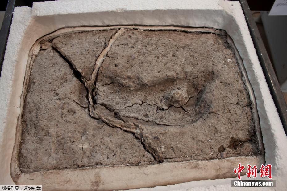 帳中香金銀花小說筆趣閣